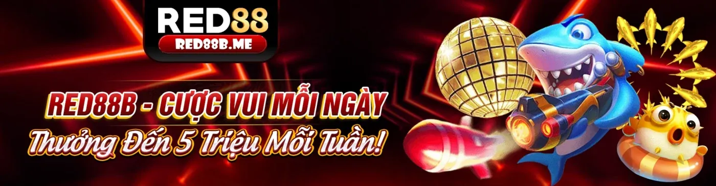Tổng quan các loại hình đá gà phổ biến tại iwn68 link mới